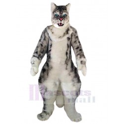 Strong American Shorthair Cat Mascot Costume Animal