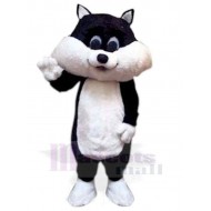 Joli chaton noir et blanc chat Costume de mascotte Animal
