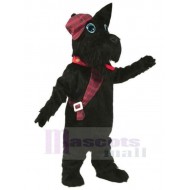 Perro escocés negro Disfraz de mascota animal