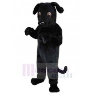 Top Quality Black Dog Mascot Costume Animal