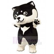 Bébé chien blanc et noir Costume de mascotte Animal