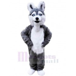 Grau-weißer Husky-Hund Maskottchen Kostüm Tier mit blauen Augen