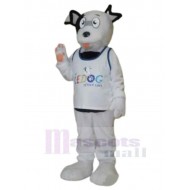 White Stray Dog of Pet House Mascot Costume Animal