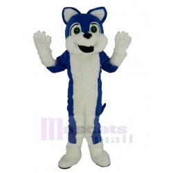 Blau und weiß Pelziger Husky-Hund Maskottchen Kostüm Tier