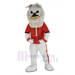 Bulldog gris Disfraz de mascota en camiseta roja Animal