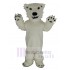 Blanc froid Ours polaire Costume de mascotte Animal