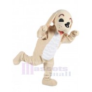 Adorable perro marrón y blanco Disfraz de mascota Animal