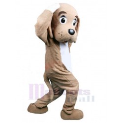 Adorable perro marrón Disfraz de mascota Animal