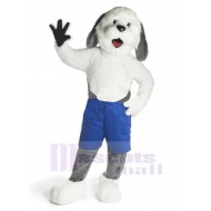 Chien de berger Costume de mascotte Animal en pantalon bleu