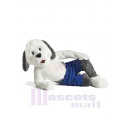 Perro pastor Disfraz de mascota Animal en pantalones azules