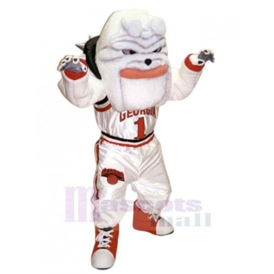 Basketball Bulldogge Hund Maskottchen Kostüm Tier