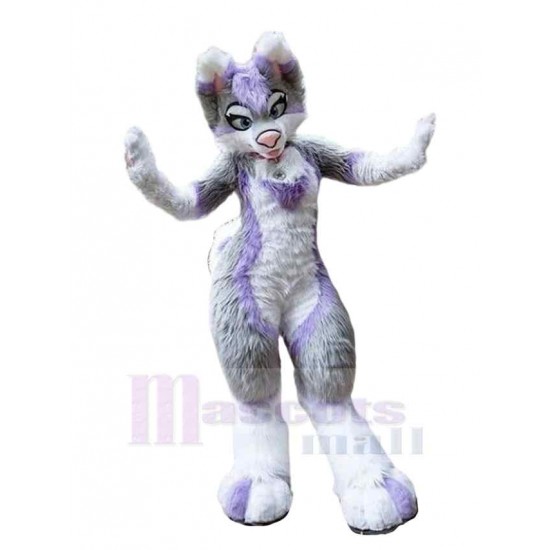 Slim Violet et Gris Chien husky Costume de mascotte Animal