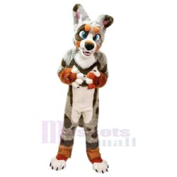 Bunter Husky-Hund Maskottchen Kostüm Tier mit blauen Augen