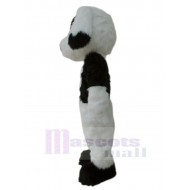 Schwarz-weißer Plüschhund Maskottchen Kostüm Tier
