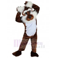 Chien brun Costume de mascotte Animal avec des oreilles poilues