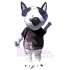 Chien Bull Terrier Cool Costume de mascotte Animal