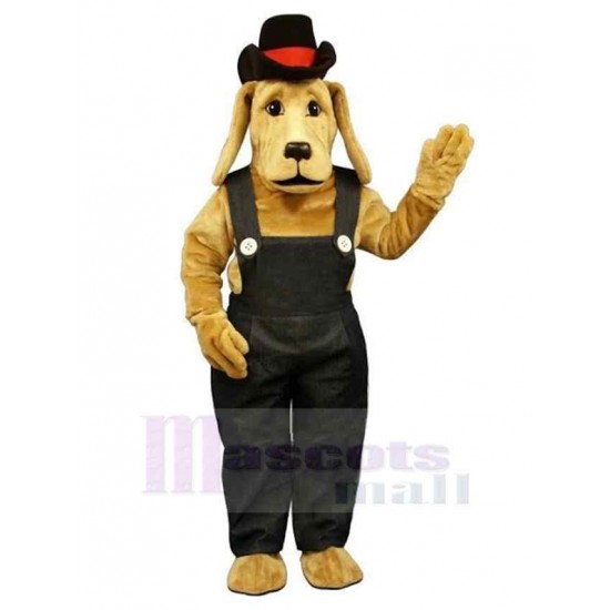 Perro granjero marrón Disfraz de mascota Animal