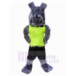 Bulldog americano gris Disfraz de mascota Animal en chaleco verde