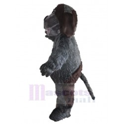 Beau chien Husky gris foncé Costume de mascotte Animal