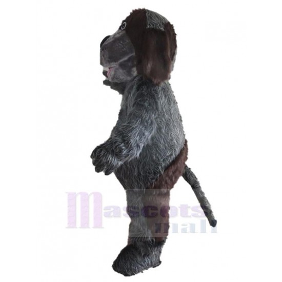 Schöner dunkelgrauer Husky-Hund Maskottchen Kostüm Tier
