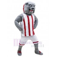 Muscle Gray Bulldog Mascot Costume Animal