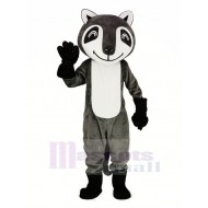 Smiling Gray Raccoon Mascot Costume Animal