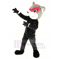 Nutzy le Richmond Écureuil volant Costume de mascotte Animal