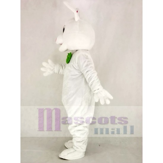 Lapin de Pâques drôle Costume de mascotte Animal