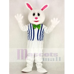 Lapin de Pâques drôle Costume de mascotte avec gilet