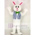 Lustiger Osterhase Kaninchen Maskottchen Kostüm mit Weste