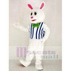 Lapin de Pâques drôle Costume de mascotte avec gilet