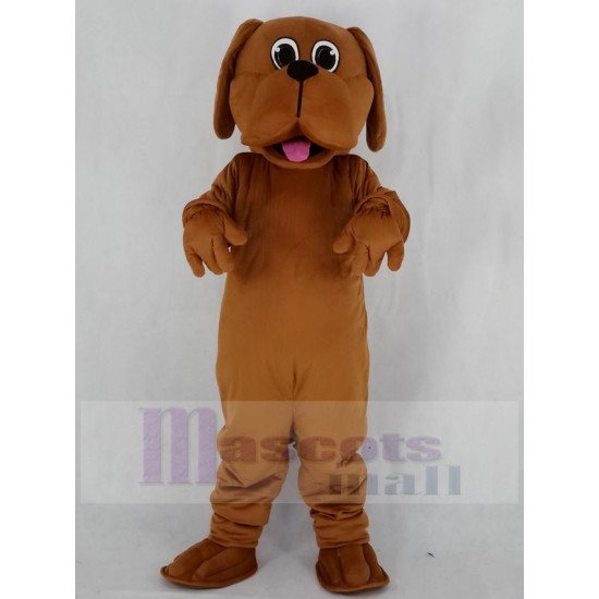 Sabueso marrón Perro Disfraz de mascota Animal