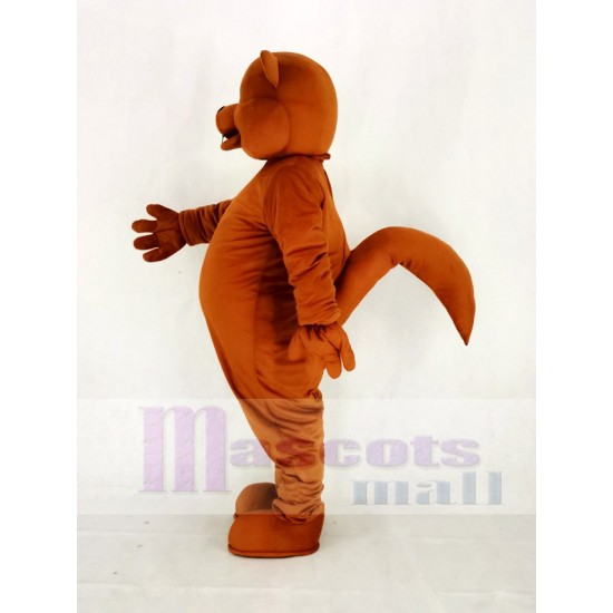 Süßes Braun Nussiges Eichhörnchen Maskottchen Kostüm Tier