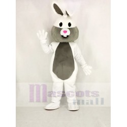 Blanc et gris Lapin de Pâques Costume de mascotte Animal