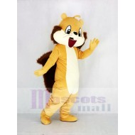 Marron mignon Écureuil Costume de mascotte Animal