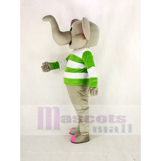 Elefante gris Traje de la mascota con ropa verde y blanca