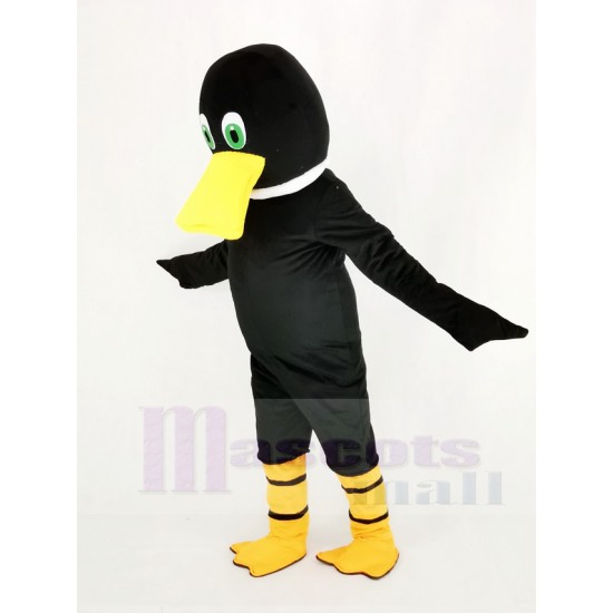 Schwarze Ente Entenschnabel Maskottchen Kostüm mit grünen Augen