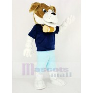 Bernhardiner-Hund Maskottchen Kostüm im dunkelblauen T-Shirt