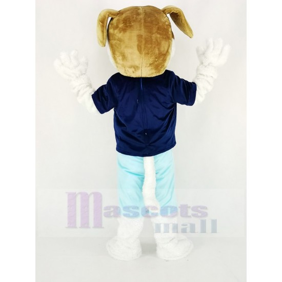Bernhardiner-Hund Maskottchen Kostüm im dunkelblauen T-Shirt