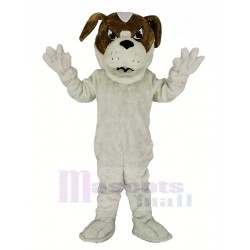 Bernhardiner-Hund Maskottchen Kostüm Tier
