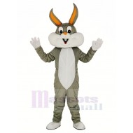Bugs Bunny Conejo Traje de la mascota Dibujos animados