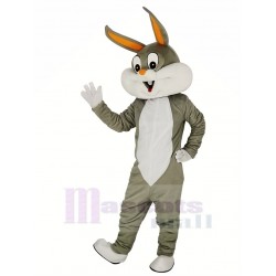 Bugs Bunny Rabbit Mascot Costume Cartoon