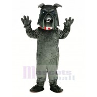 Bully gris foncé Bouledogue Costume de mascotte Animal