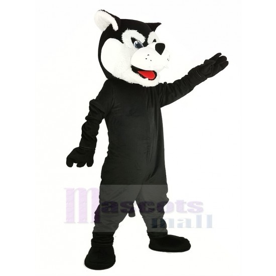 Schwarz Bärenkatze Binturong Maskottchen Kostüm Tier