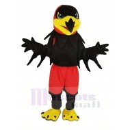Faucon nocturne noir Costume de mascotte avec un pantalon rouge