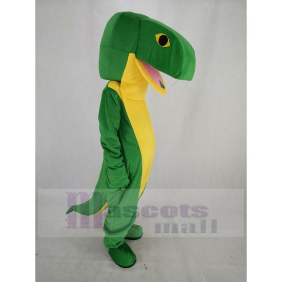Serpent vert Costume de mascotte Animal