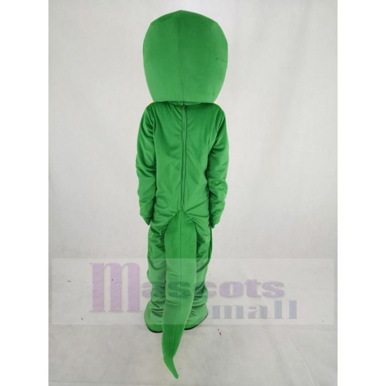 Serpent vert Costume de mascotte Animal
