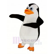 Marinero sonriente Pingüino Traje de la mascota Animal