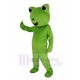 Cute Green Frog Mascot Costume Animal