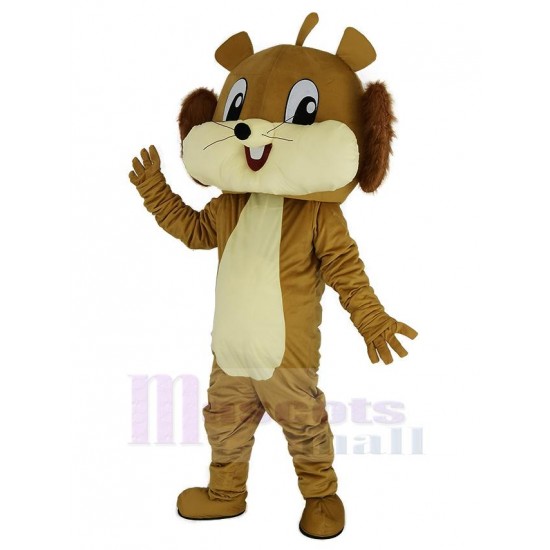 Écureuil brun drôle Costume de mascotte Animal